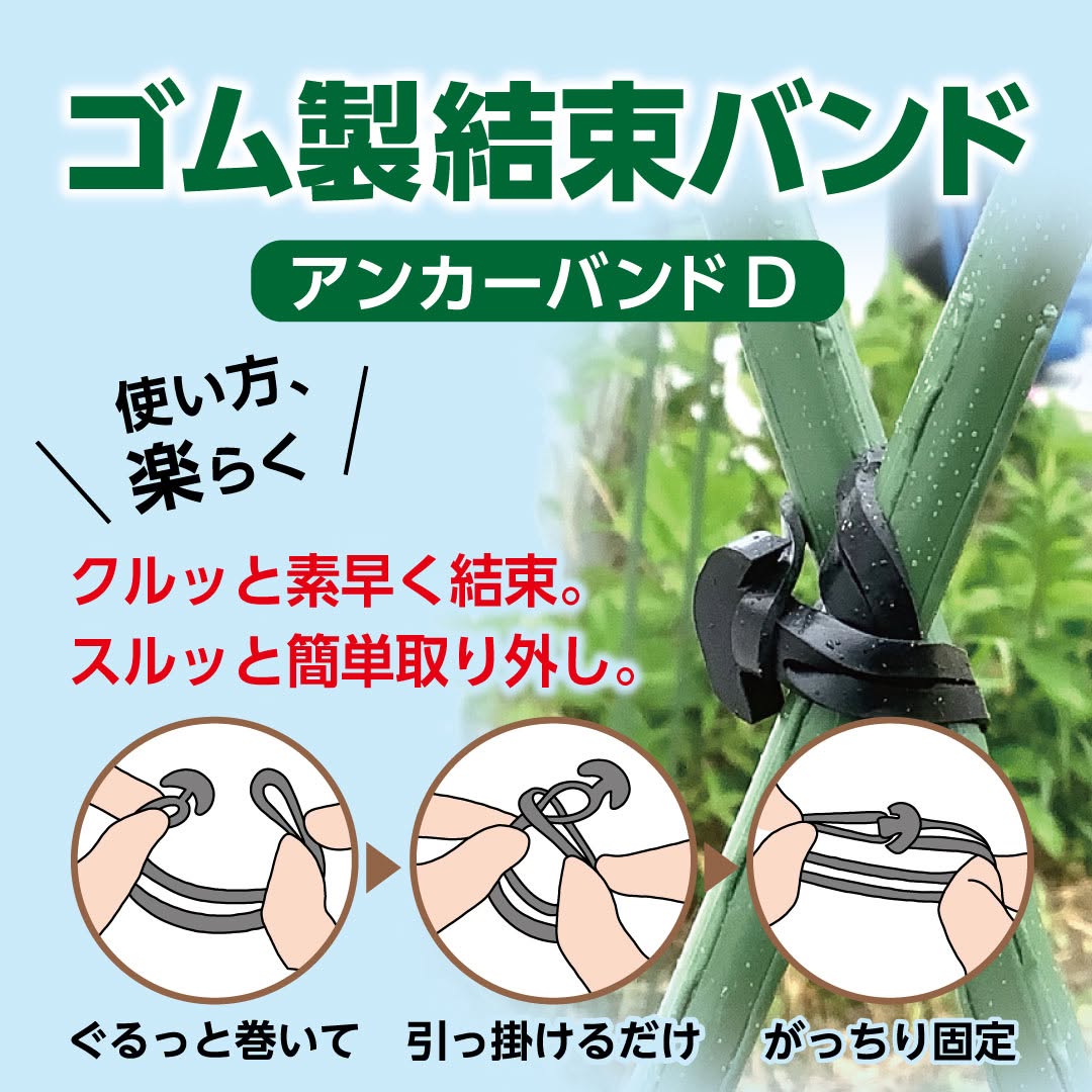 ダイソー アンカーバンドD ゴム製結束バンド