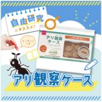 アリ観察ケース