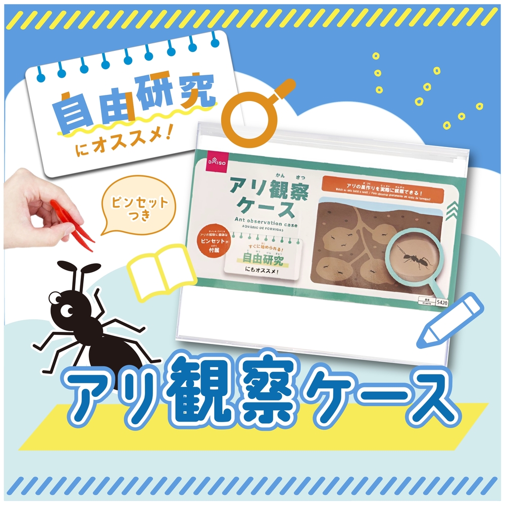 アリ観察ケース