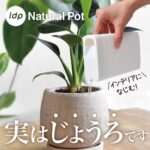 本棚じょうろ