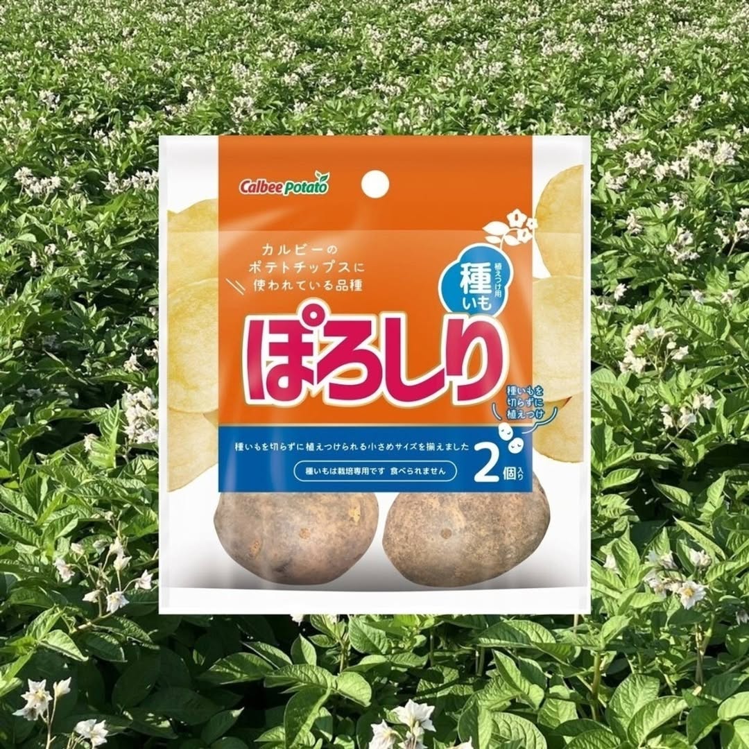 ダイソー カルビー 種芋 ぽろしり