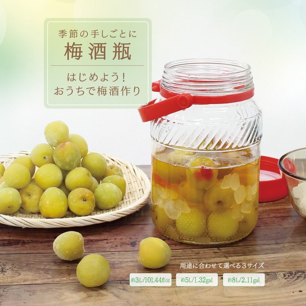 ダイソー 梅酒瓶 持ち手付き