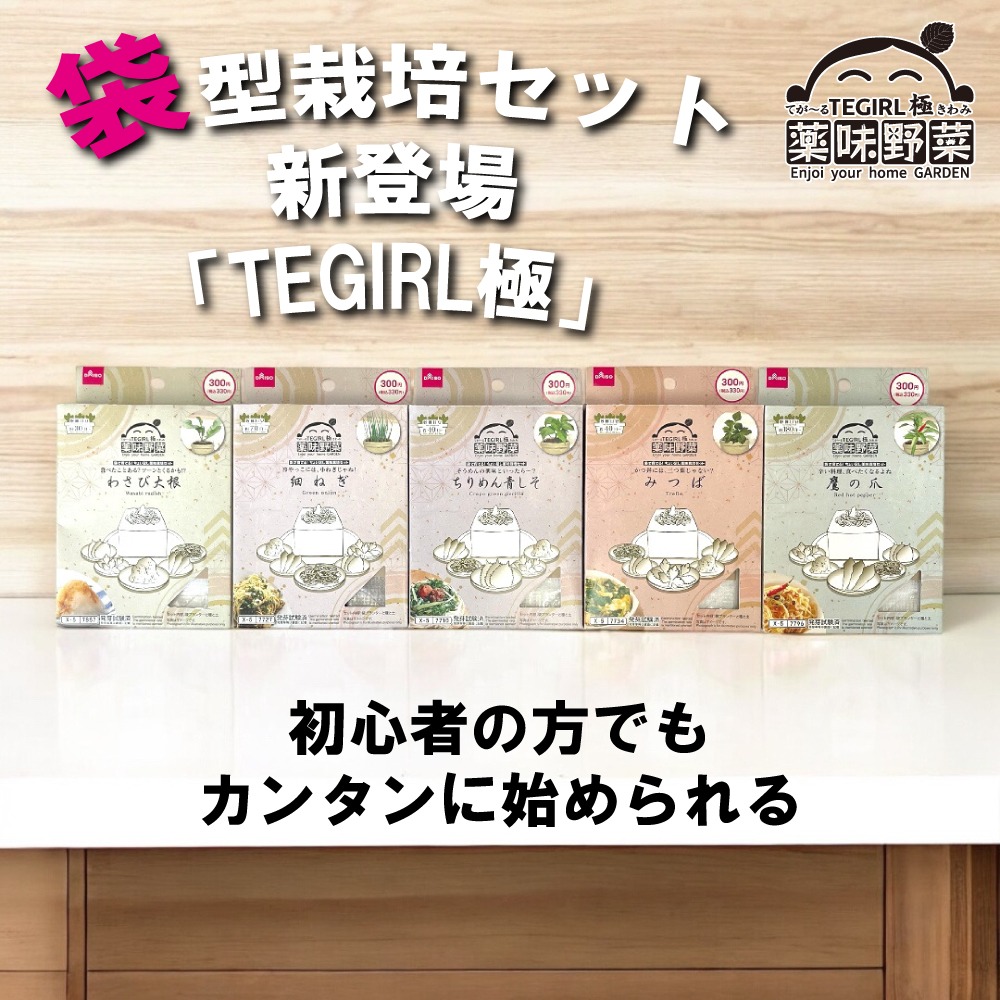 袋で育てる栽培セット TEGIRL 極 ダイソー