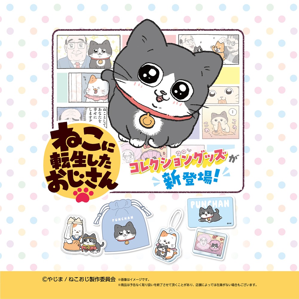 ねこに転生したおじさん ダイソーグッズ