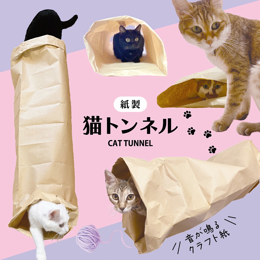 ダイソー 猫トンネル