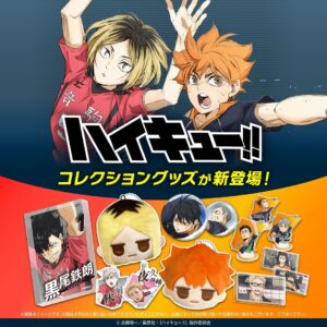 ハイキューグッズ