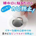 排水口カビ防止シール