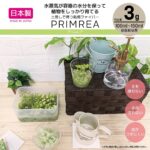 土無し栽培ファイバー プリムレア