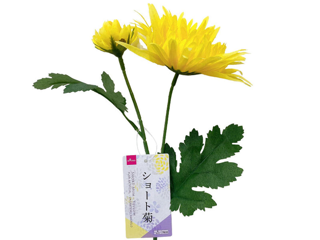 ショート菊（イエロー） ダイソー(DAISO)