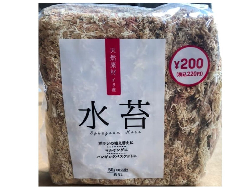 水苔 ダイソー(DAISO)