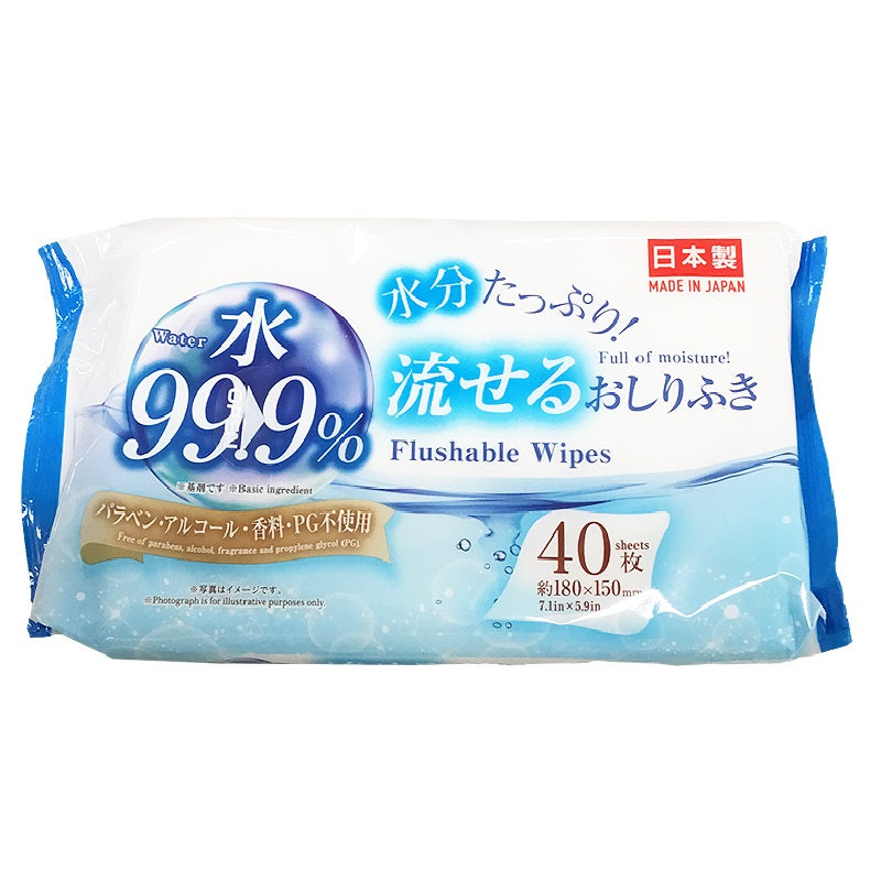 流せるおしりふき（４０枚） ダイソー(DAISO)