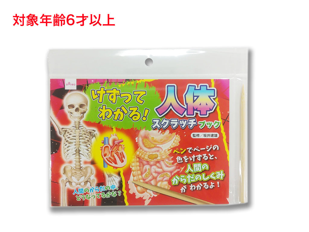 けずってわかる！人体スクラッチブック ダイソー(DAISO)