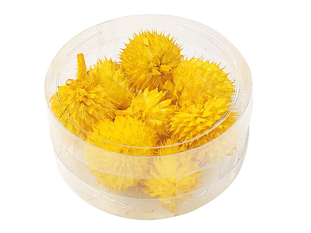 ドライフラワーパーツ（チーゼル、イエロー） ダイソー(DAISO)