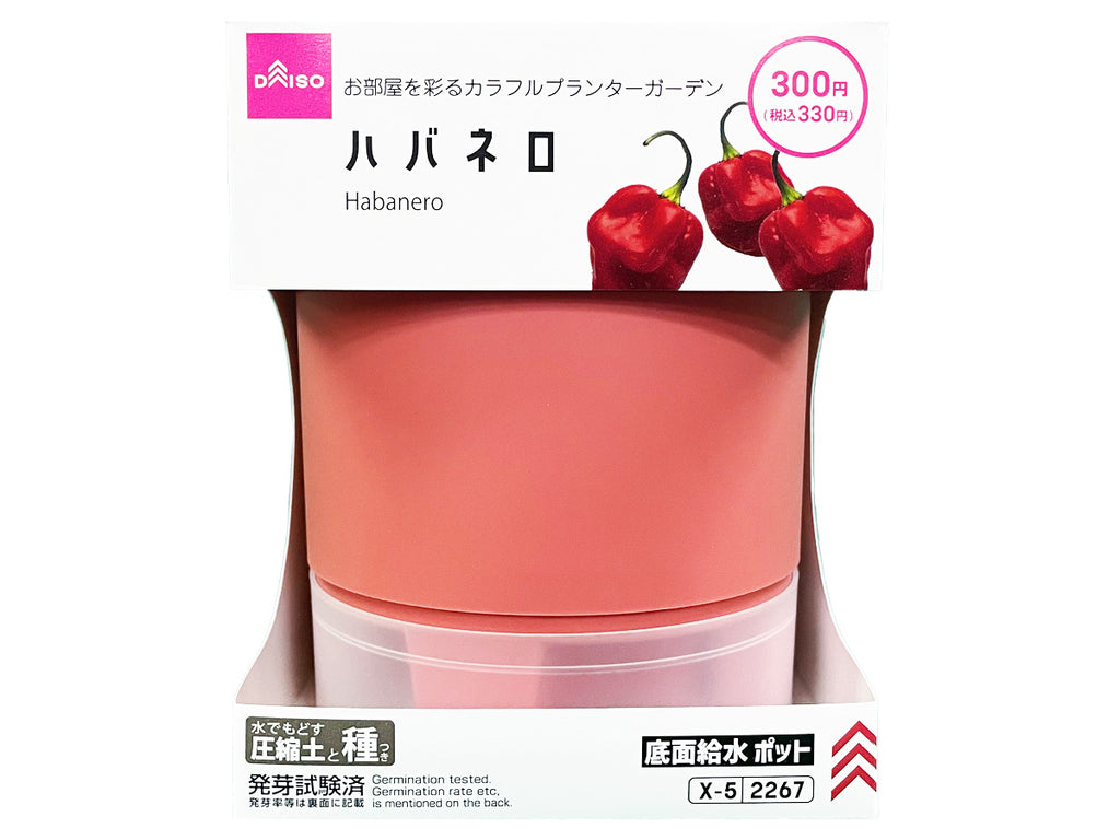 栽培セット ハバネロ ダイソー(DAISO)