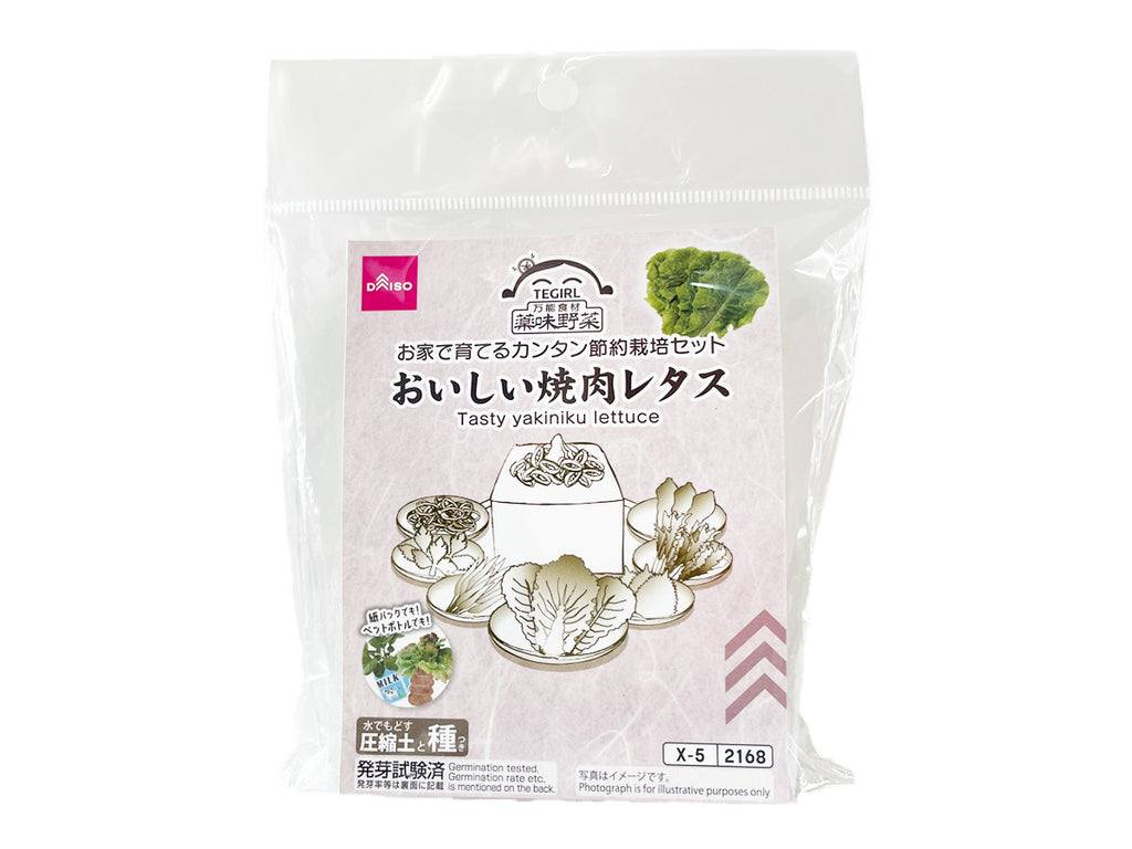 栽培セット おいしい焼肉レタス ダイソー(DAISO)