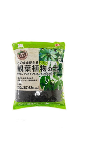 観葉植物の土 ダイソー(DAISO)