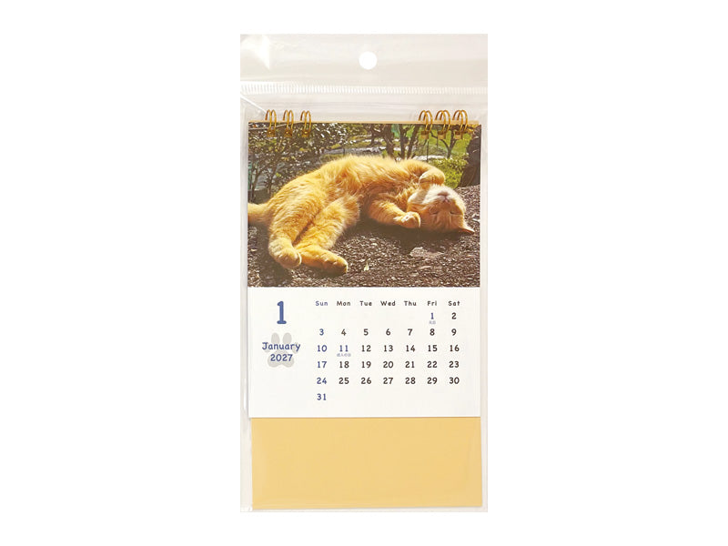 ２０２７年卓上Ｗリングフォトカレンダー（Ａ６タテ、猫） ダイソー(DAISO)