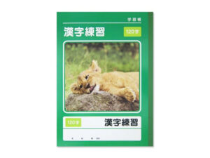 学習帳（漢字練習、１２０字、４０枚） ダイソー(DAISO)