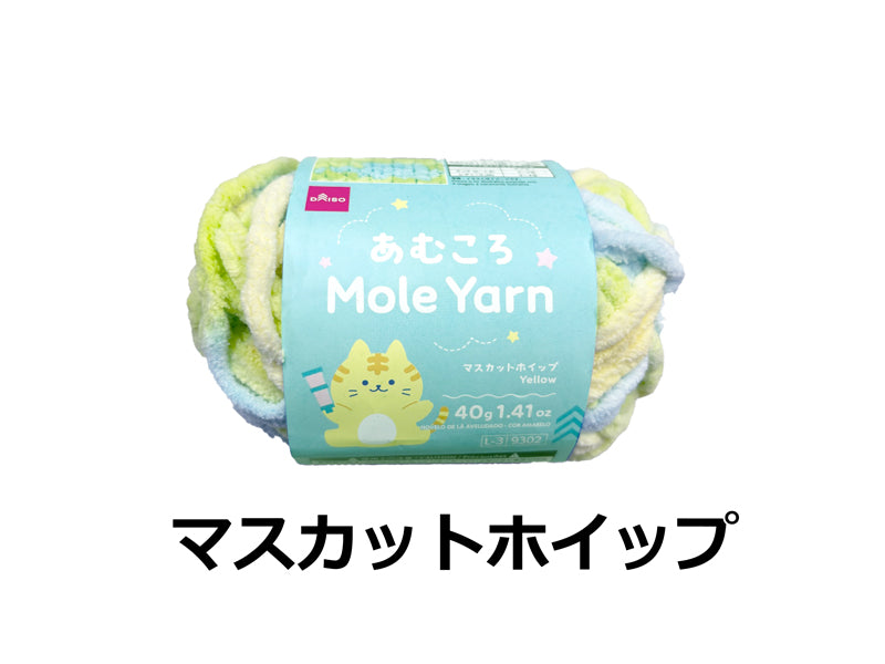 毛糸（あむころ、モール、マスカットホイップ） ダイソー(DAISO)