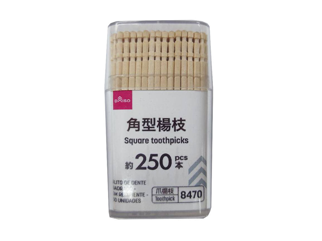 角型楊枝（容器入、２５０本） ダイソー(DAISO)