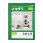 学習帳（さんすう、１４マス、４０枚） ダイソー(DAISO)