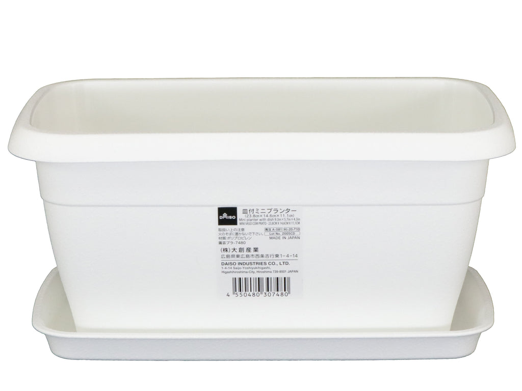 皿付ミニプランター ダイソー(DAISO)