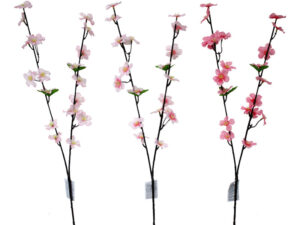 桜（染井吉野） ダイソー(DAISO)