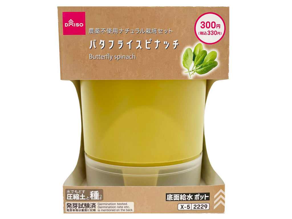 栽培セット バタフライスピナッチ ダイソー(DAISO)