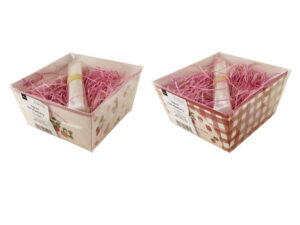 トレーキット（ＣＧＶいちご） ダイソー(DAISO)