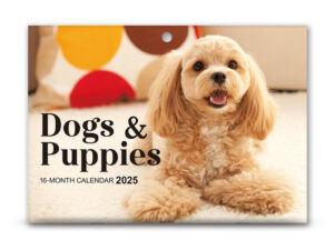 ２０２５年壁掛けカレンダー（Ｂ４、Ｄｏｇｓ＆Ｐｕｐｐｉｅｓ） ダイソー(DAISO)