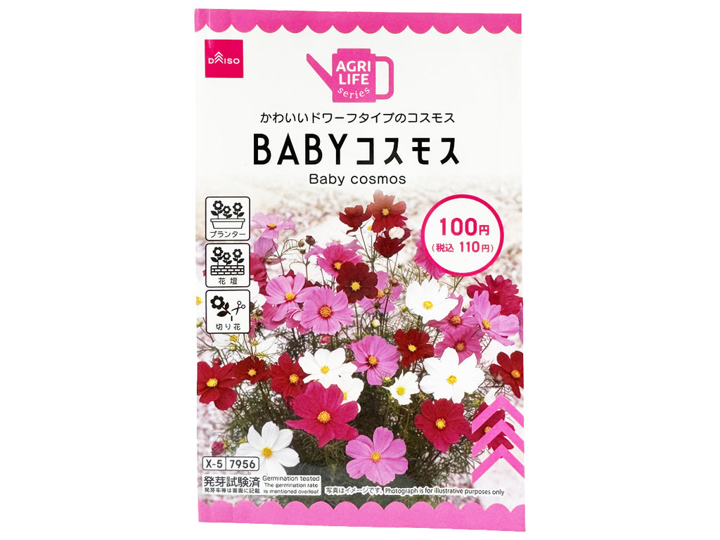 ＢＡＢＹコスモス ダイソー(DAISO)