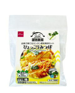 栽培セット ひょっこりみつば ダイソー(DAISO)