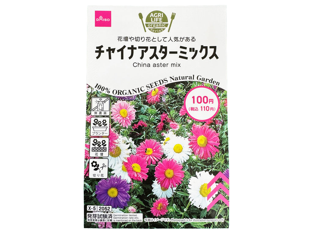 チャイナアスターミックス ダイソー(DAISO)