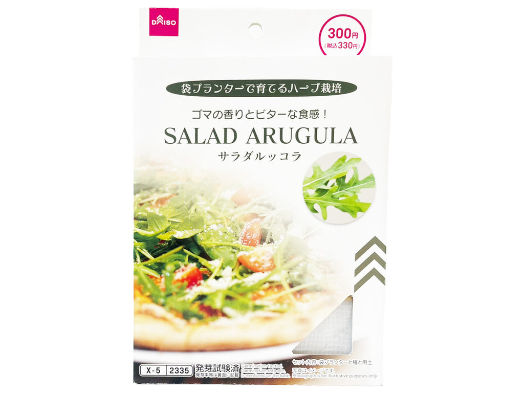 栽培セット サラダルッコラ ダイソー(DAISO)