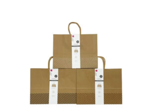 ギフトバッグ（クラフトストライプ、２枚） ダイソー(DAISO)