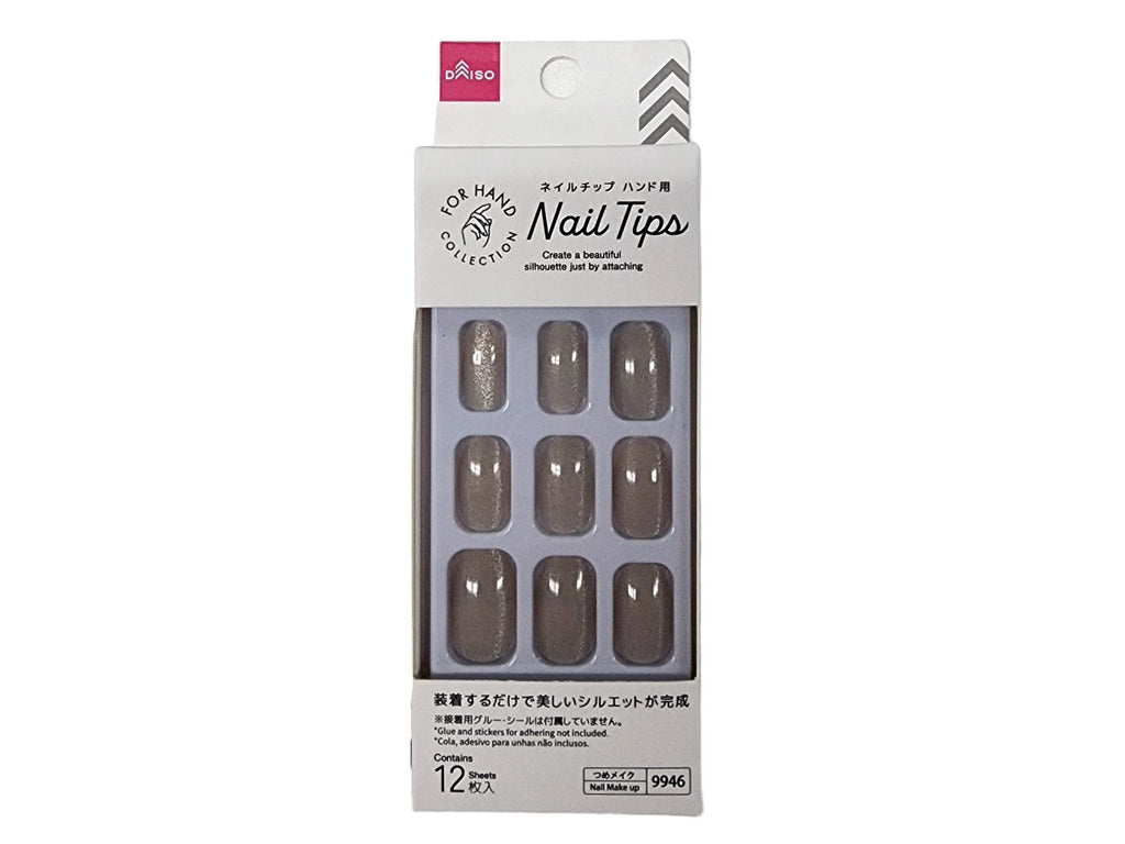 ネイルチップ（ハンド、マグネットベージュ） ダイソー(DAISO)