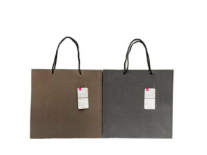 ギフトバッグ（シンプル） ダイソー(DAISO)