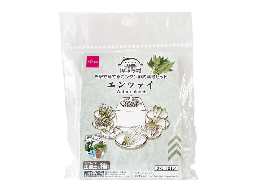 栽培セット エンツァイ ダイソー(DAISO)