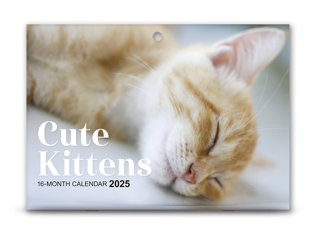 ２０２５年壁掛けカレンダー（Ｂ４、Ｃｕｔｅ Ｋｉｔｔｅｎｓ） ダイソー(DAISO)