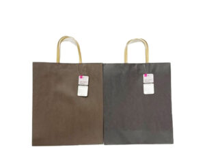 ギフトバッグ（シンプル型） ダイソー(DAISO)