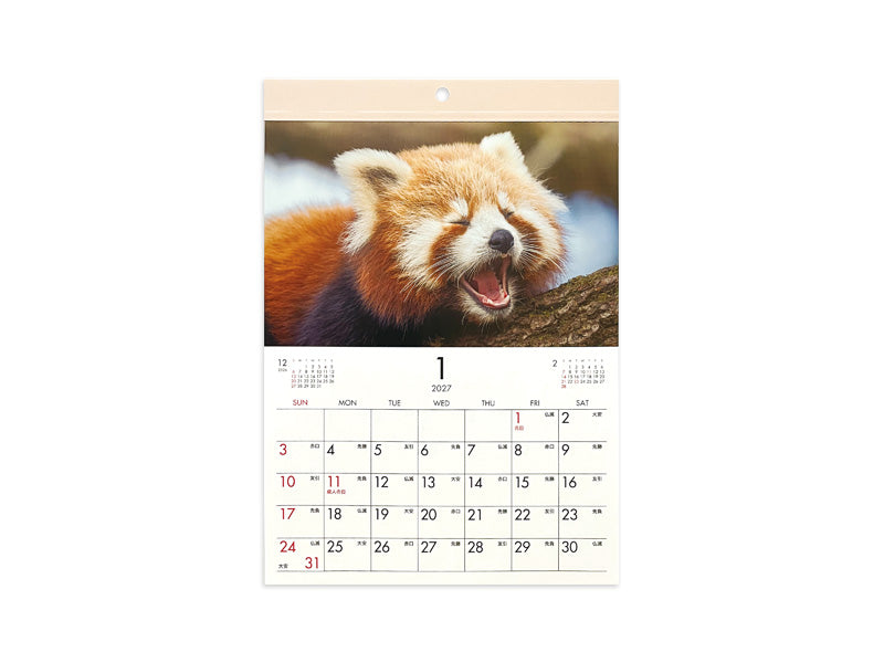 ２０２７年フォトカレンダー（Ａ４、おもしろ動物） ダイソー(DAISO)