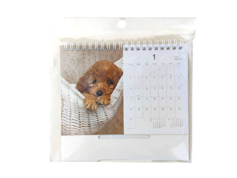 卓上Ｗリングカレンダー（Ｂ６、犬） ダイソー(DAISO)