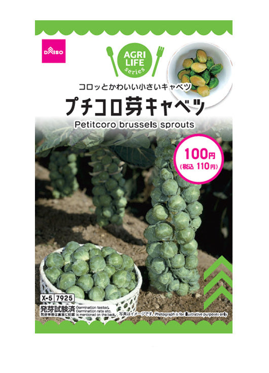 プチコロ芽キャベツ ダイソー(DAISO)