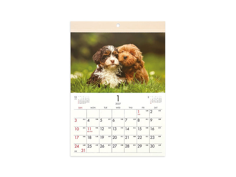２０２７年フォトカレンダー（Ａ４、犬） ダイソー(DAISO)
