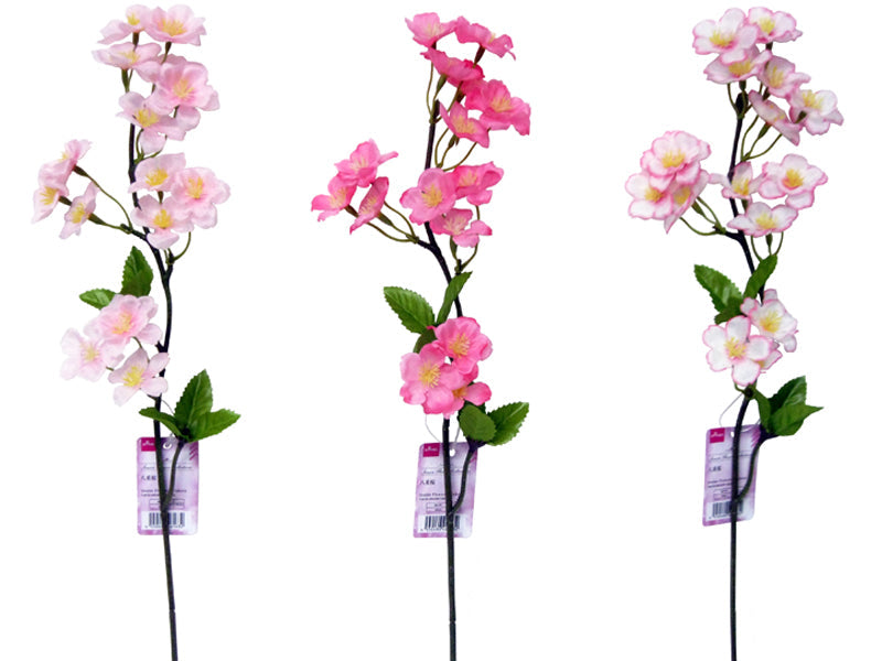 八重桜 ダイソー(DAISO)